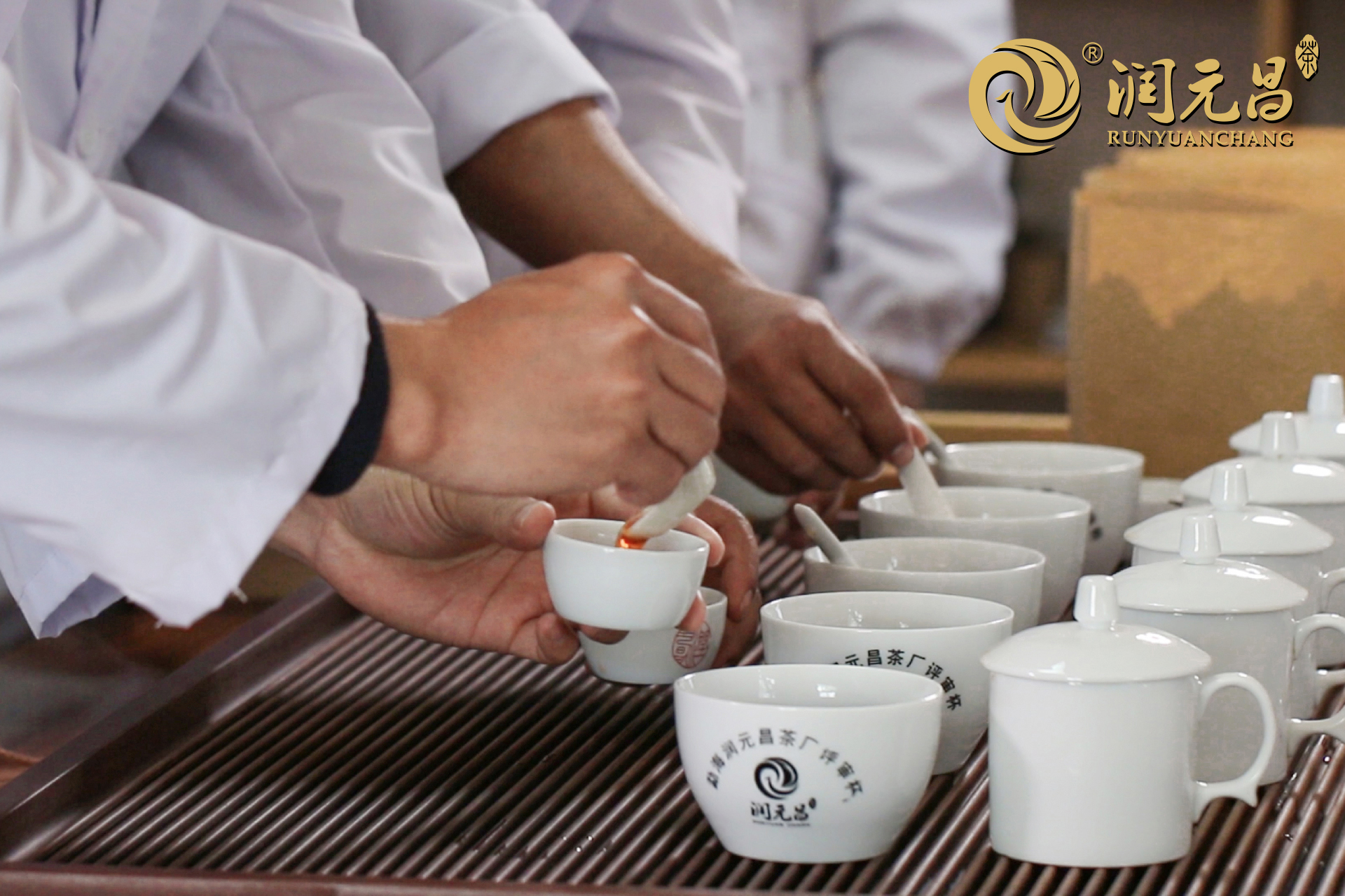 润元昌普洱茶评审-1