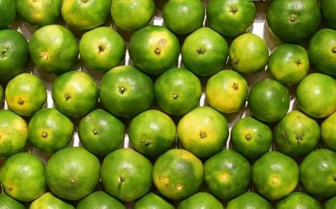 润元昌柑普茶-1