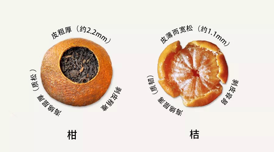 润元昌柑普茶-2