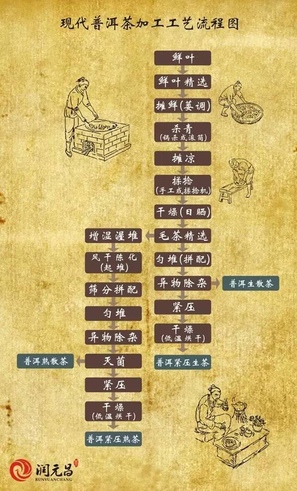 普洱茶制作
