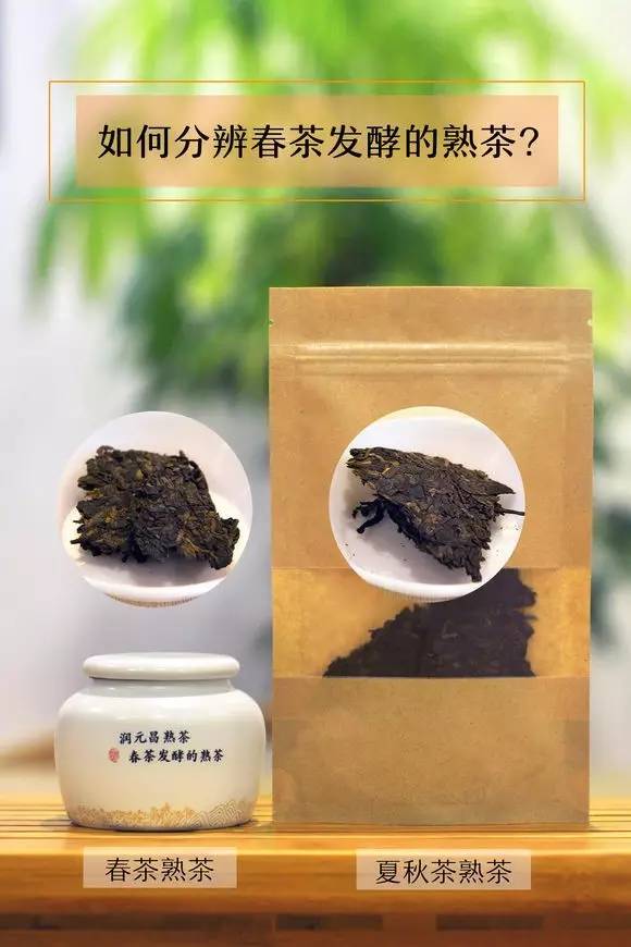 润元昌普洱茶666开汤-1