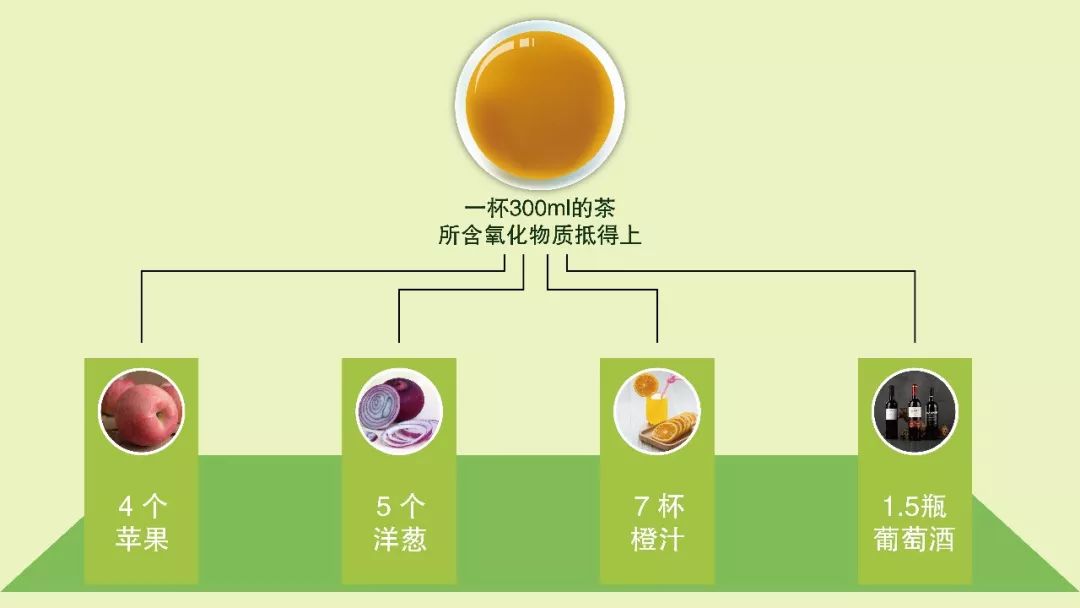 润元昌普洱茶-2