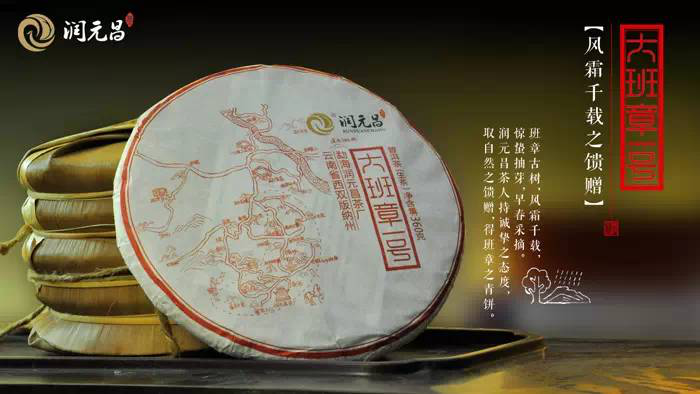 润元昌班长古树