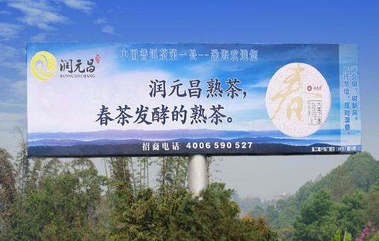 润元昌春茶发酵的熟茶