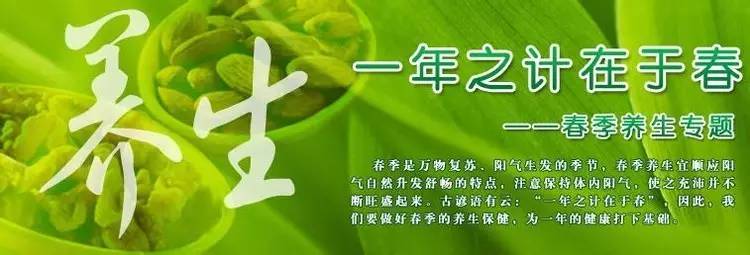 润元昌柑普茶大红柑-3