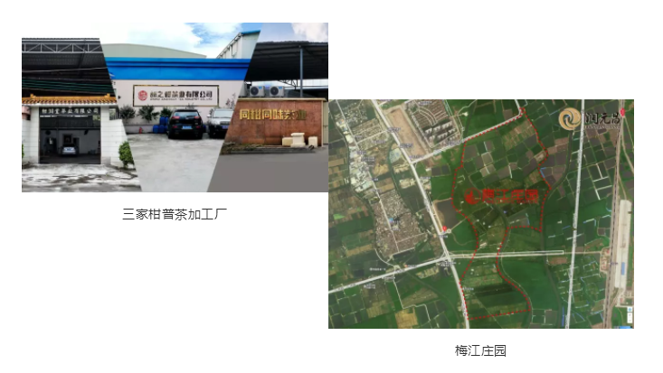 润元昌新会柑普茶厂