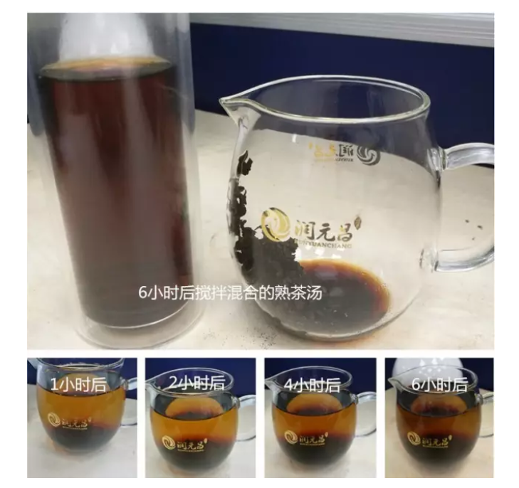 生茶冷泡品饮体验