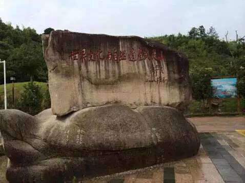 润元昌在武夷山