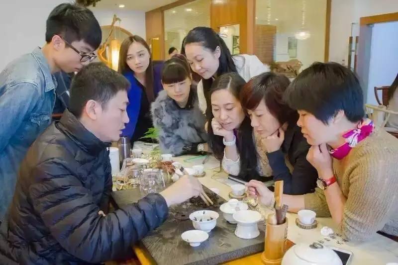 润元昌老茶头品鉴会上叶底的讲解6