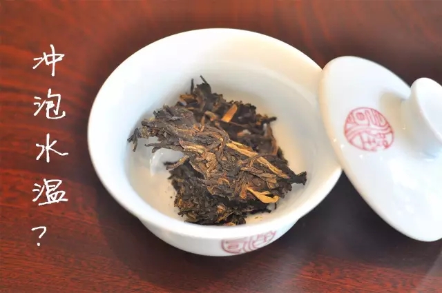 泡茶水温.webp