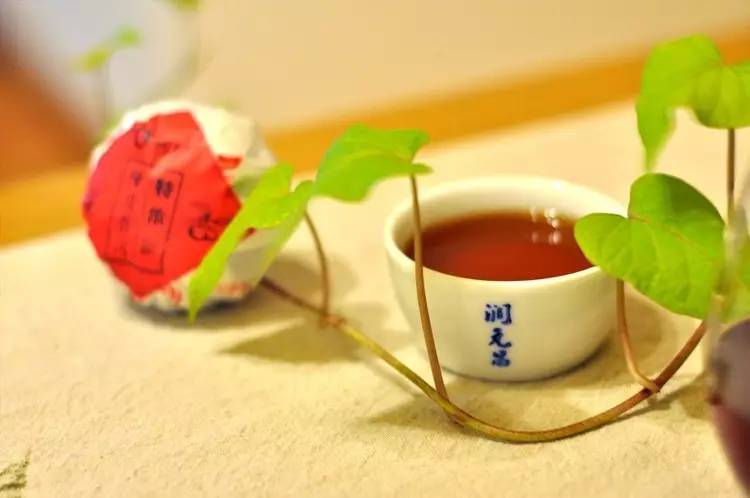 润元昌柑普茶甜润净爽-4