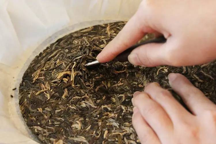 润元昌普洱茶珍品黄印品鉴会-6