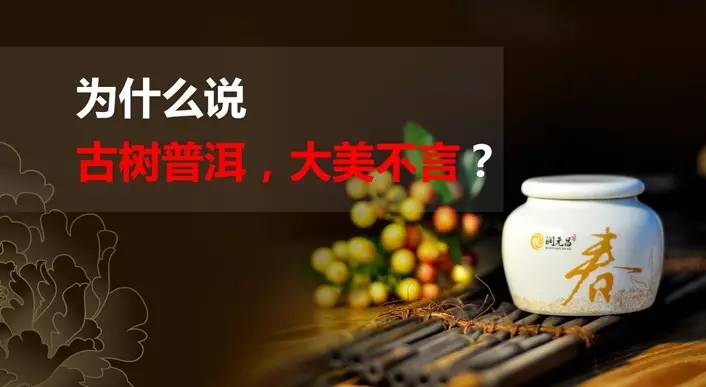 润元昌普洱茶茶树-5