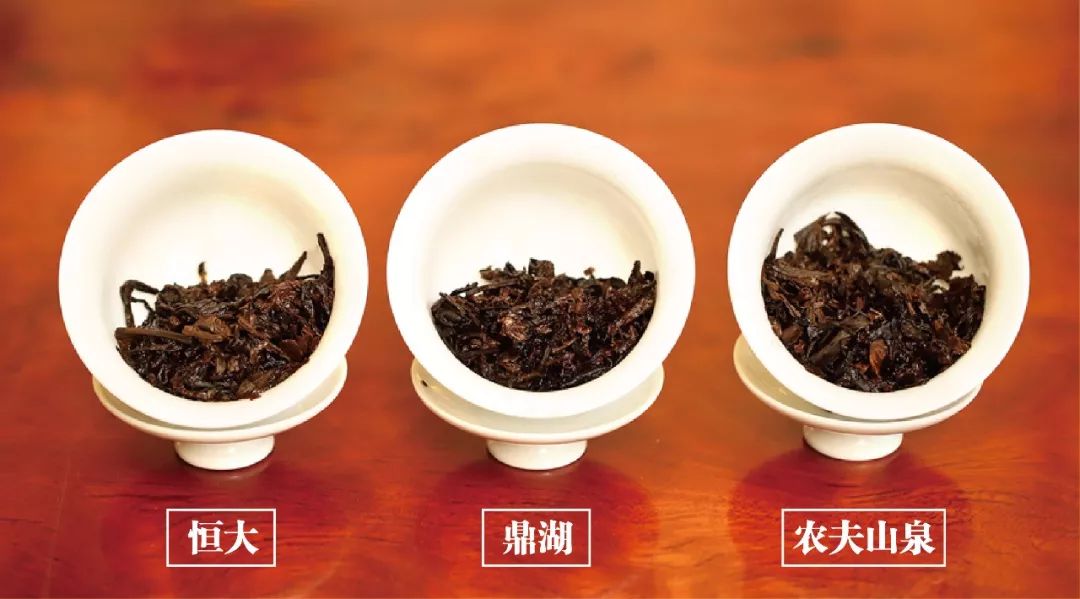 润元昌巴达之春-4