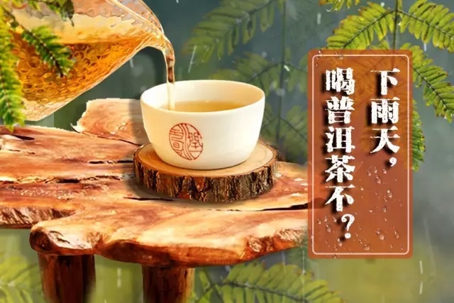下雨天喝普洱茶.webp