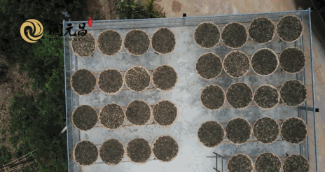 润元昌茶厂普洱茶-1