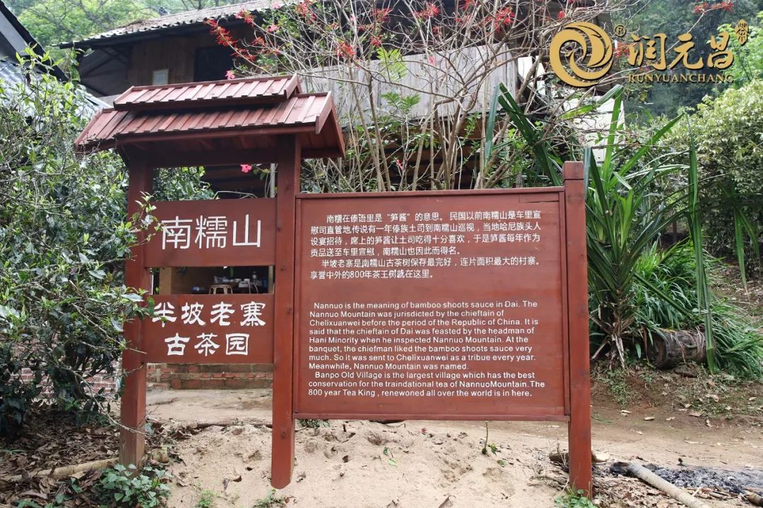 润元昌茶厂普洱茶-1