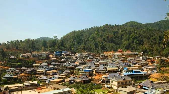 润元昌大班章茶区-2