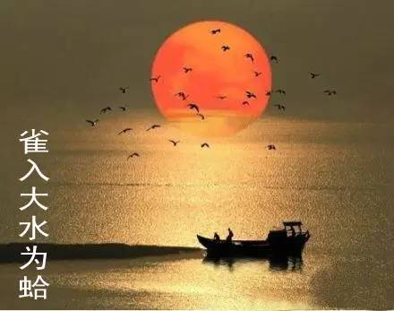 润元昌普洱茶节气喝茶-4