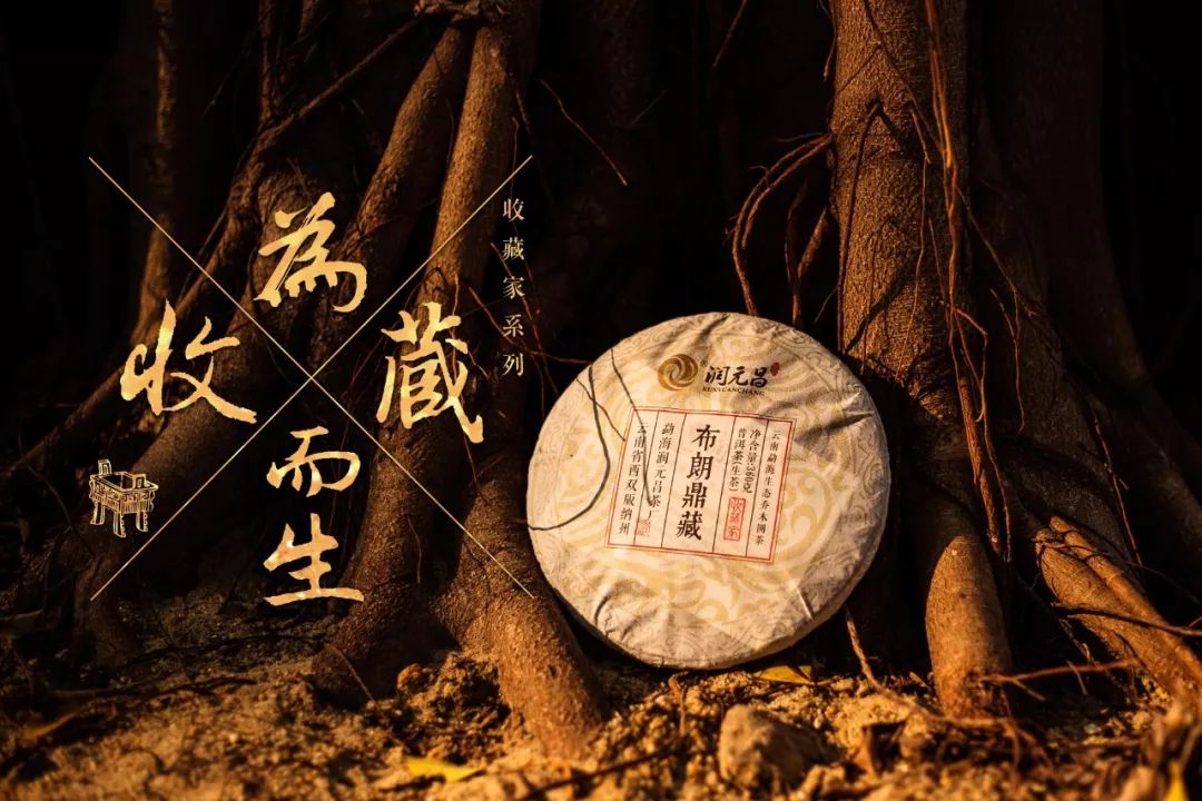 润元昌普洱茶-1