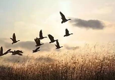 润元昌节气养生-4