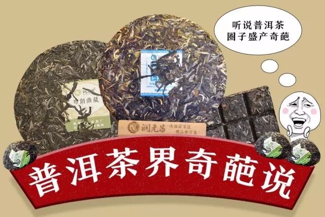 普洱茶奇葩说.webp