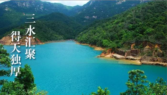 润元昌新会柑普茶-1