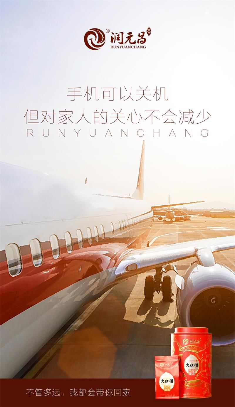 润元昌月刊普洱茶春运-3