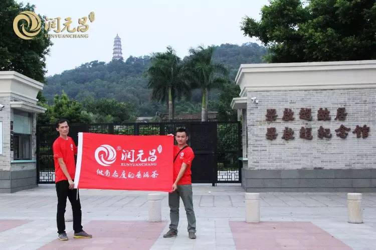 润元昌普洱茶陈皮普洱-5