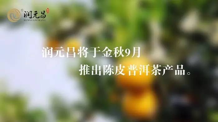 润元昌普洱茶茶礼-4