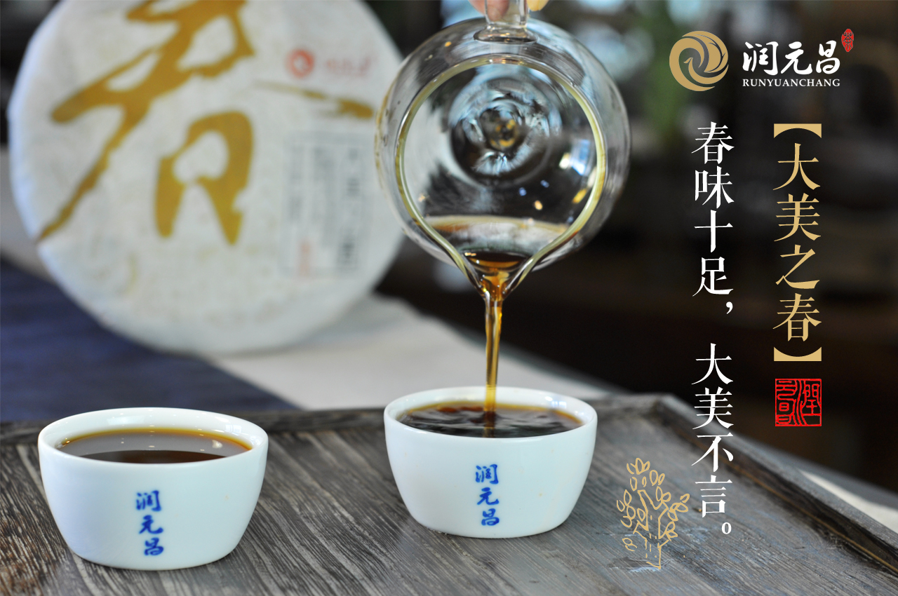 润元昌熟茶，春茶发酵的熟茶——润元昌的