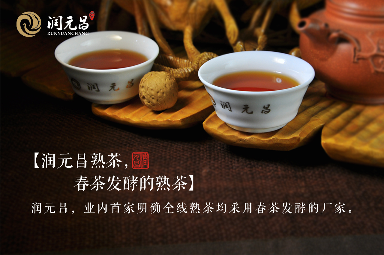 润元昌熟茶，春茶发酵的熟茶——润元昌的