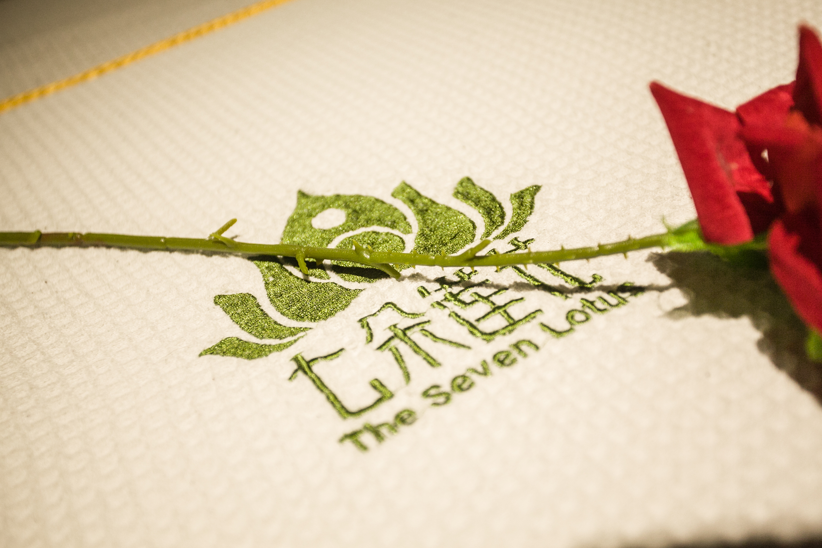 合肥七朵莲花足道桐城路店隆重开业!