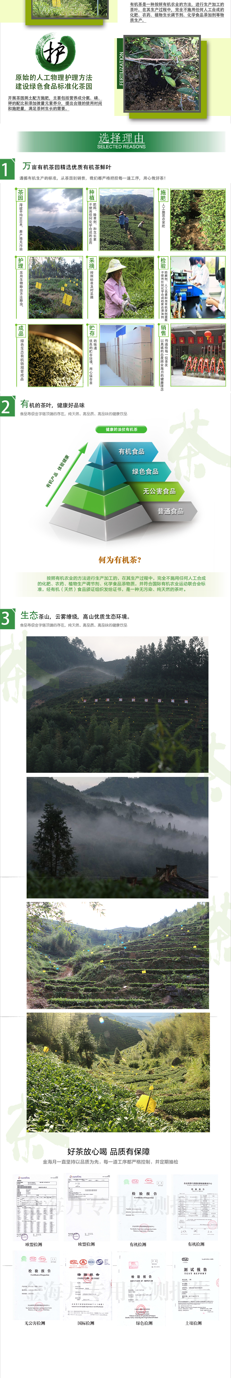 白泽浓香型 金海月茶业 有机生态茶 铁