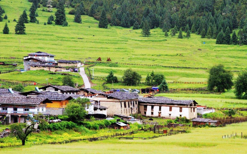 鲁朗林海风光