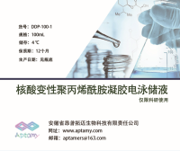 核酸变性PAGE凝胶电泳