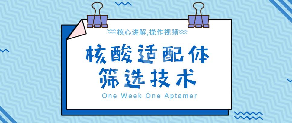 课程