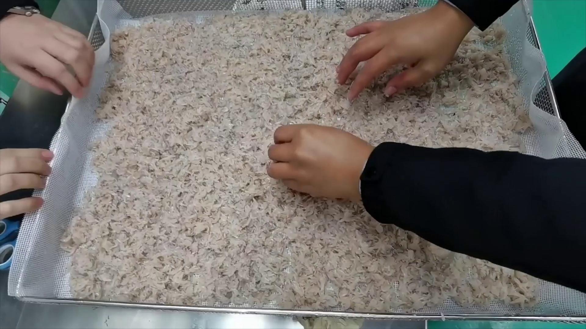 虾皮烘干机视频