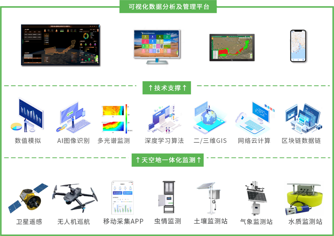 外来物种入侵监测.png
