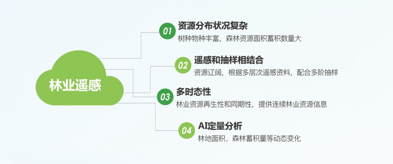 林业遥感