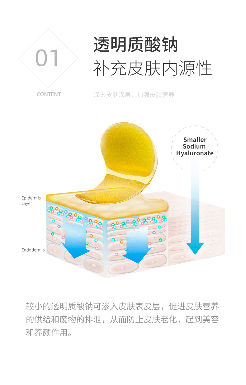 眼膜_05