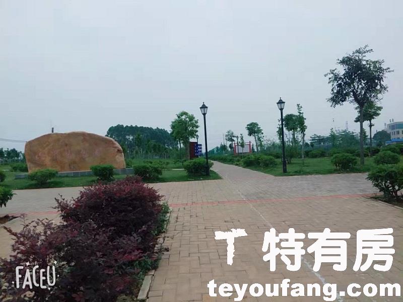 微信图片_20190818160308