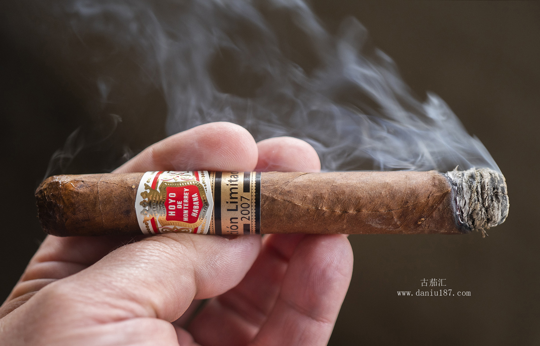好友雪茄品鉴2007限量hoyodemonterreyregalosel2007点评