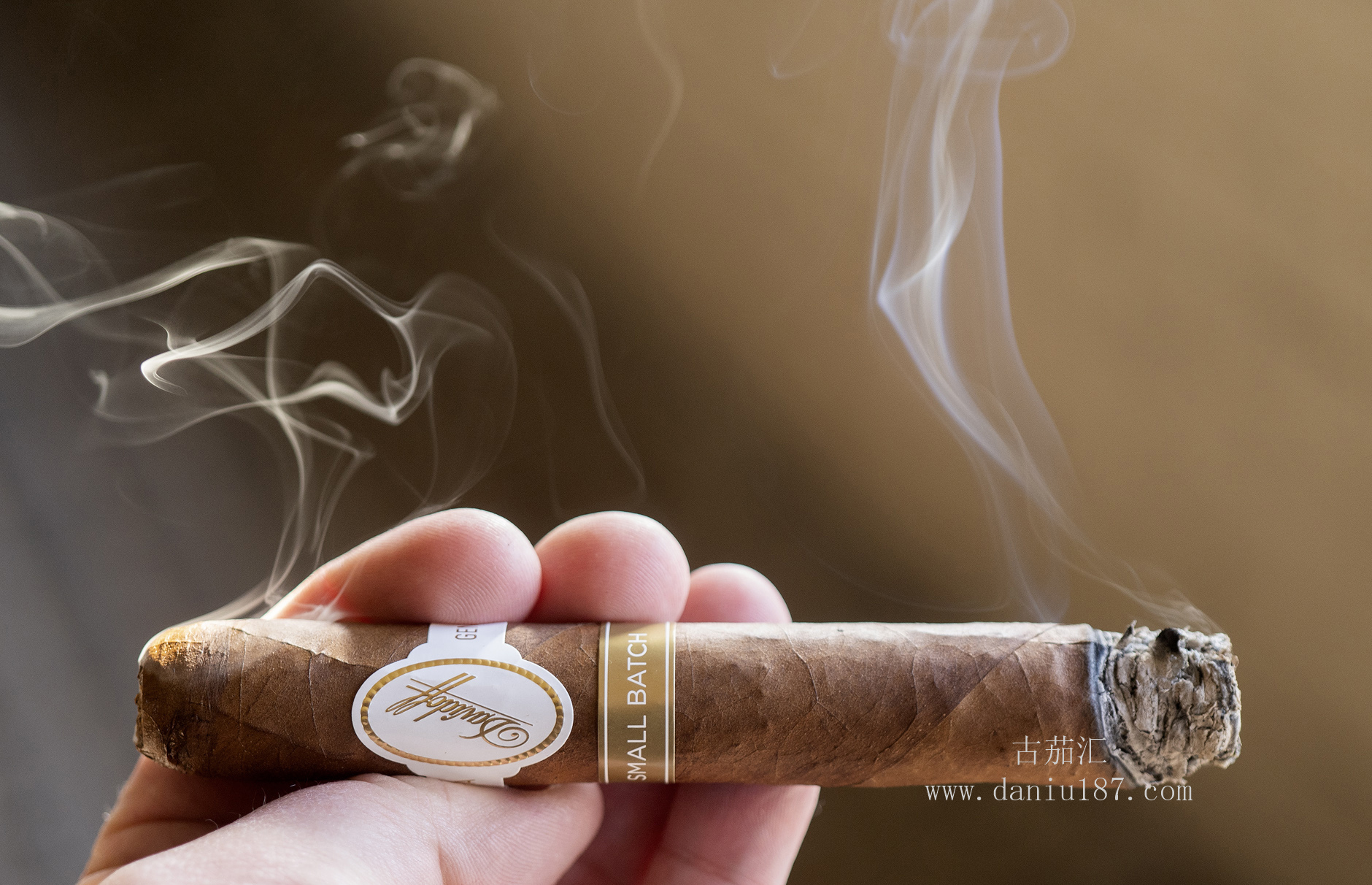 雪茄品鉴davidoff大卫杜夫small batch no. 16-古茄汇