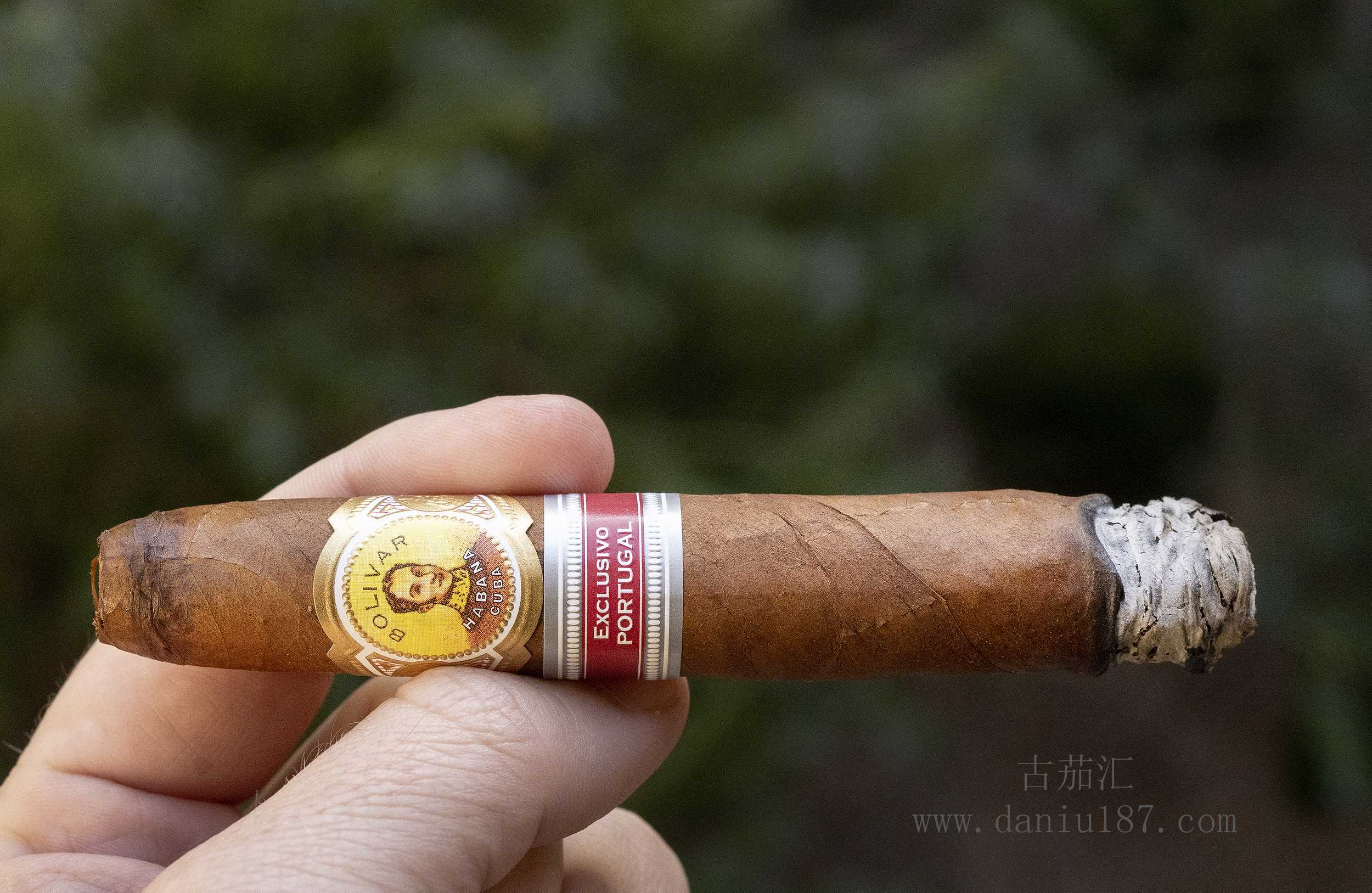 雪茄鉴赏玻利瓦尔葡萄牙地区2017bolívar lusíadas (er portugal