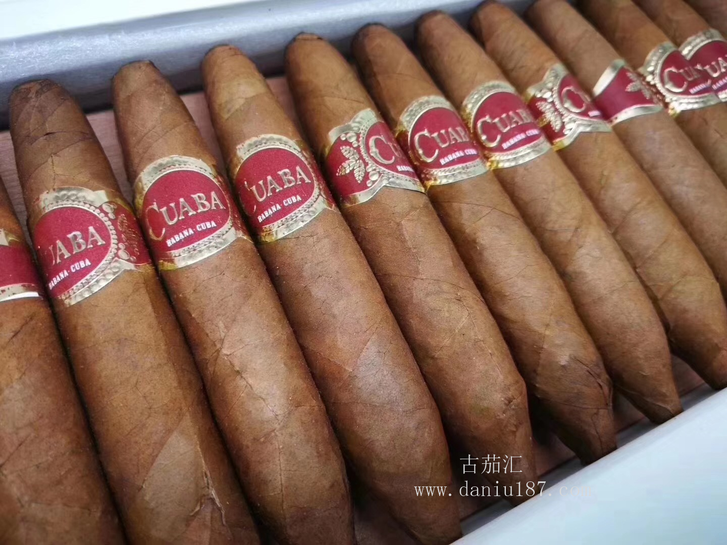 cuaba divinos库阿巴 圣地 25支木盒