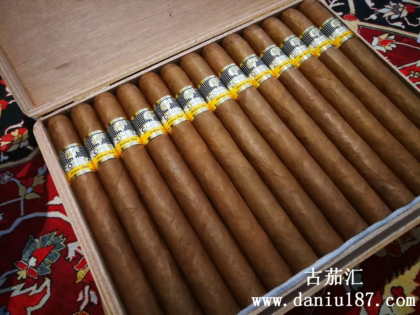 cohiba esplendidos 高希霸 導師