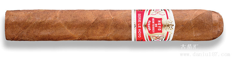 好友圣胡安hoyodemonterreylehoyodesanjuan雪茄品鉴