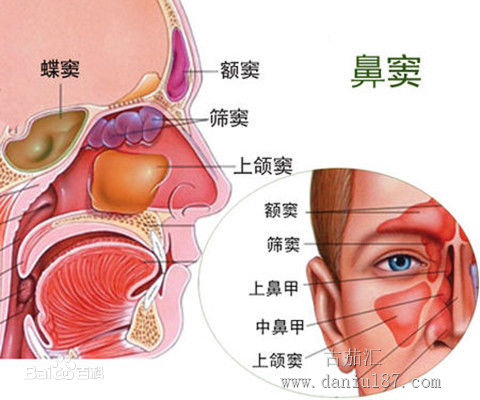 如何品尝雪茄-味觉和嗅觉.新手入门雪茄进阶