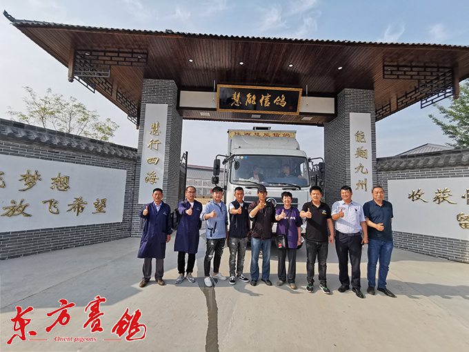 高温磁暴逆风挠艰难赛线鸽难回西安慧能第七届春赛遭遇恶劣天气炼出